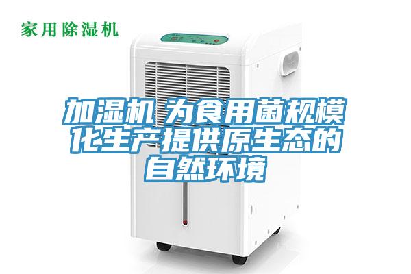 加濕機　為食用菌規(guī)?；a提供原生態(tài)的自然環(huán)境