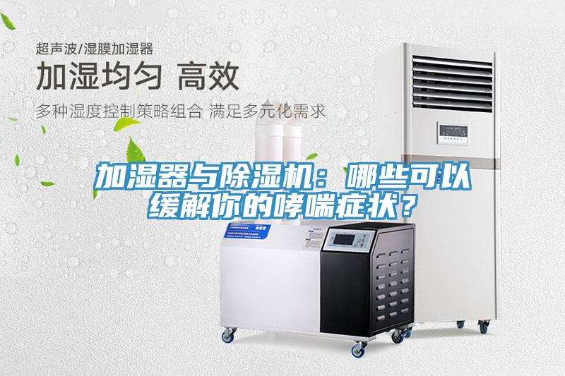 加濕器與除濕機(jī)：哪些可以緩解你的哮喘癥狀？