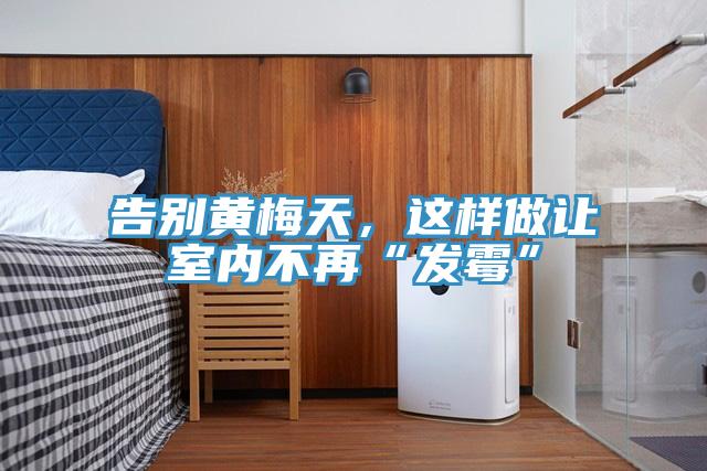 告別黃梅天，這樣做讓室內(nèi)不再“發(fā)霉”