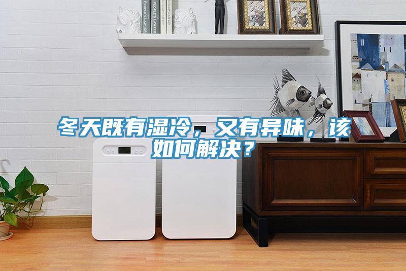 冬天既有濕冷，又有異味，該如何解決？