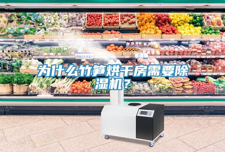 為什么竹筍烘干房需要除濕機？