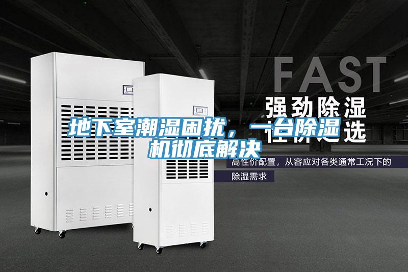 地下室潮濕困擾，一臺除濕機徹底解決