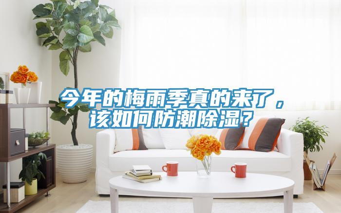 今年的梅雨季真的來(lái)了，該如何防潮除濕？