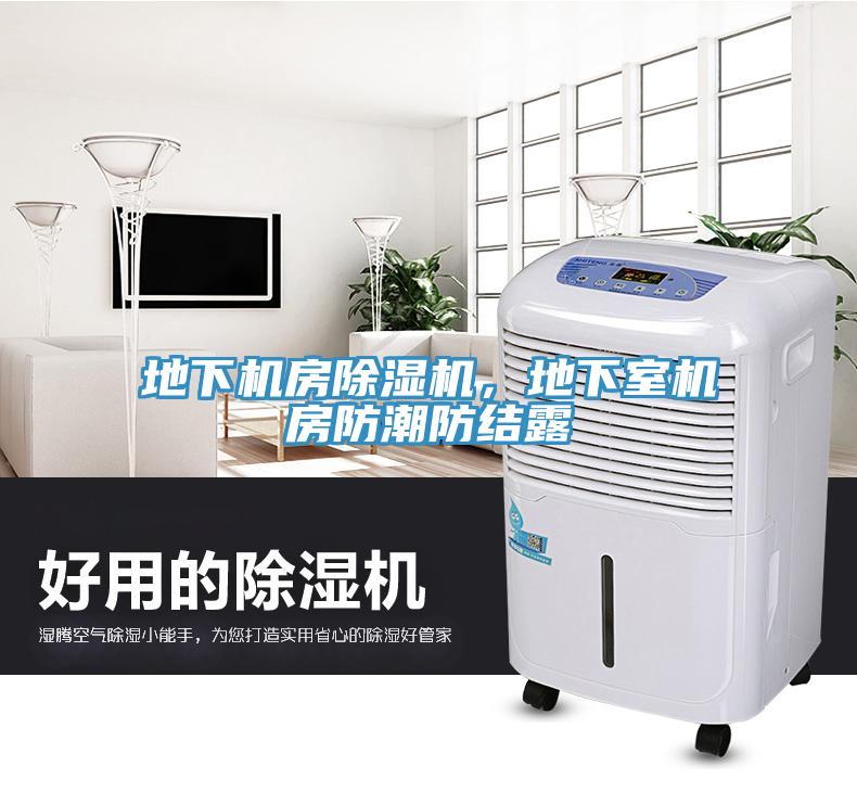 地下機(jī)房除濕機(jī)，地下室機(jī)房防潮防結(jié)露