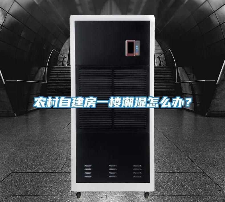 農(nóng)村自建房一樓潮濕怎么辦？