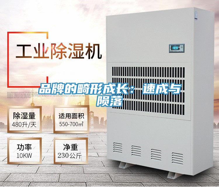 品牌的畸形成長(zhǎng)：速成與隕落