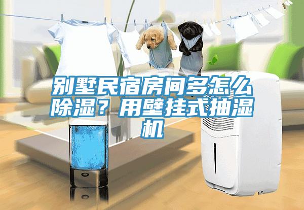 別墅民宿房間多怎么除濕？用壁掛式抽濕機