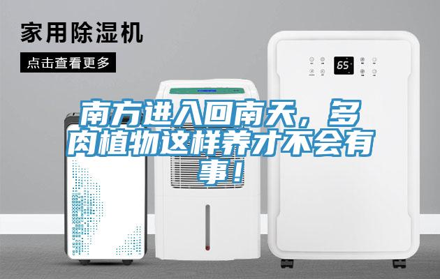 南方進(jìn)入回南天，多肉植物這樣養(yǎng)才不會有事！