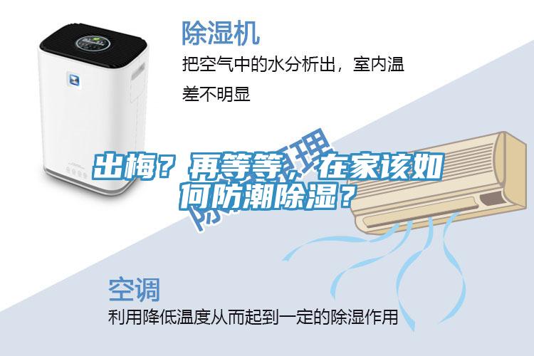 出梅？再等等，在家該如何防潮除濕？