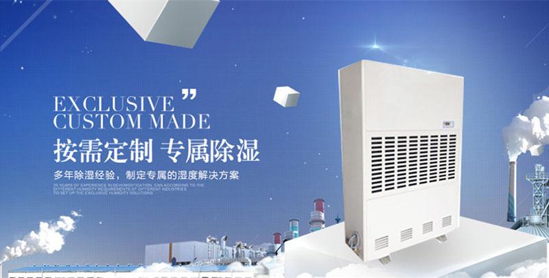升溫烘干型除濕機(jī)600L／D