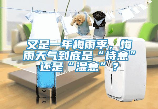 又是一年梅雨季，梅雨天氣到底是“詩意”還是“濕意”？