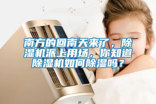 南方的回南天來了，除濕機(jī)派上用場，你知道除濕機(jī)如何除濕嗎？