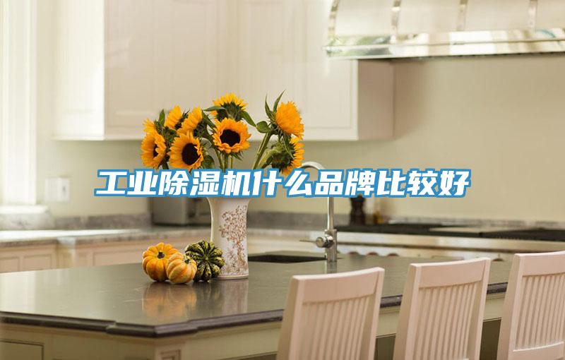 工業(yè)除濕機什么品牌比較好