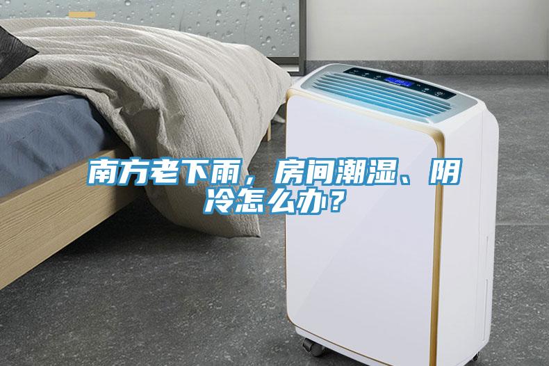 南方老下雨，房間潮濕、陰冷怎么辦？