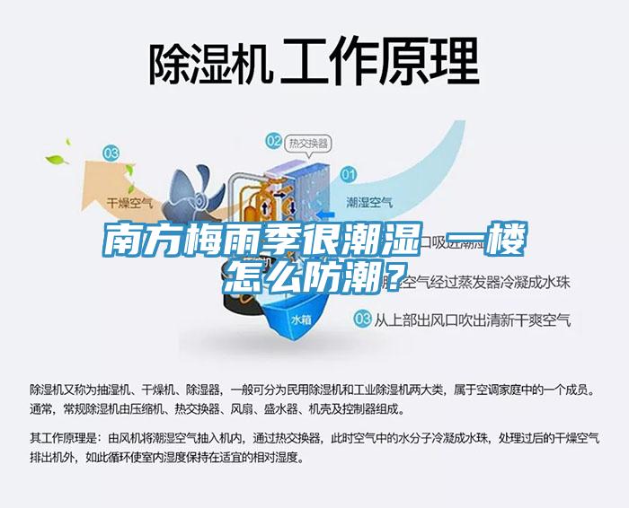 南方梅雨季很潮濕 一樓怎么防潮？