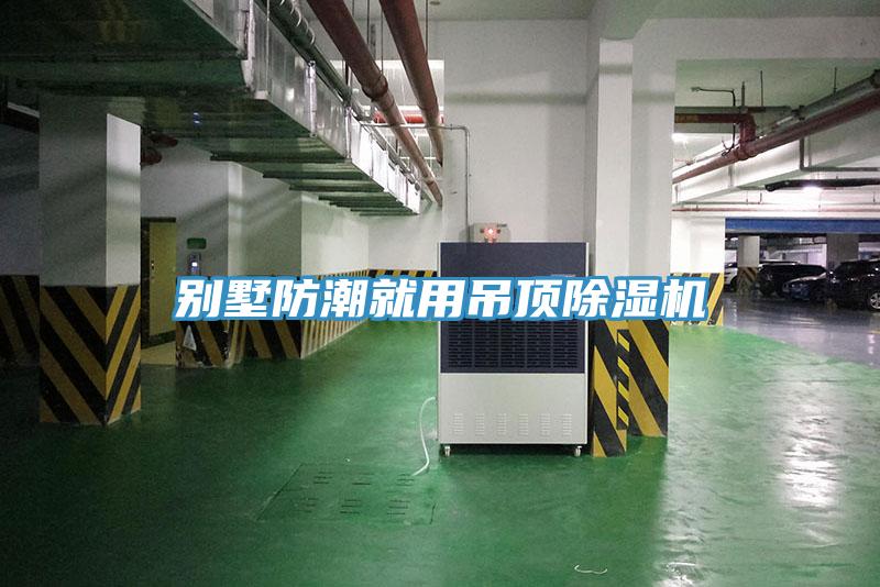 別墅防潮就用吊頂除濕機