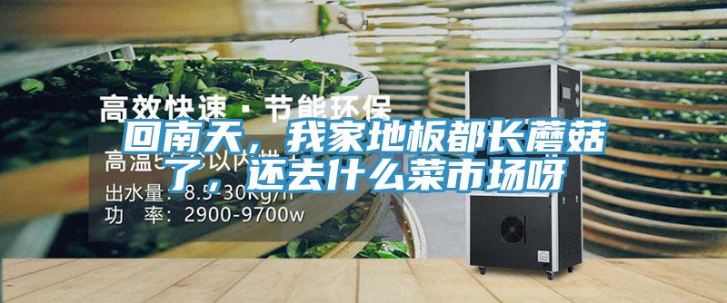 回南天，我家地板都長(zhǎng)蘑菇了，還去什么菜市場(chǎng)呀