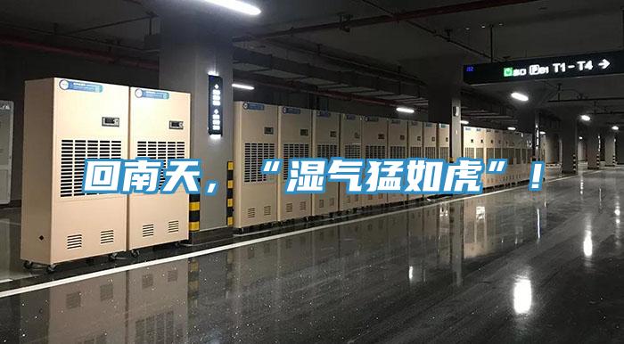 回南天，“濕氣猛如虎”！