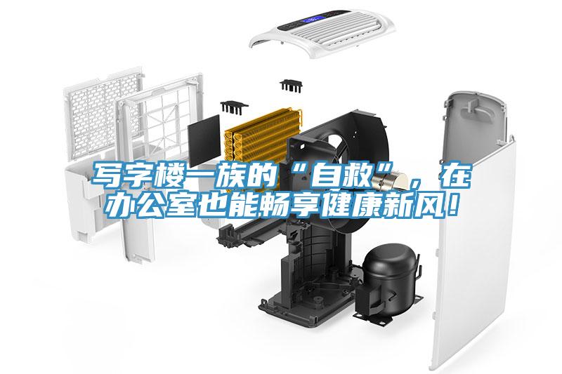 寫字樓一族的“自救”，在辦公室也能暢享健康新風(fēng)！