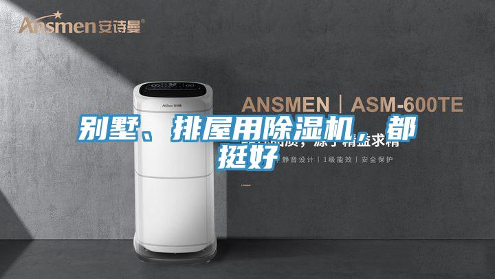 別墅、排屋用除濕機，都挺好