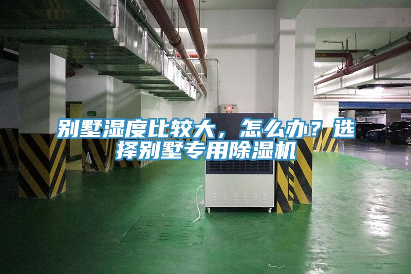 別墅濕度比較大，怎么辦？選擇別墅專用除濕機