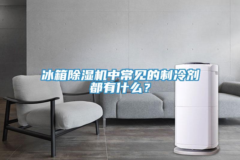 冰箱除濕機中常見的制冷劑都有什么？