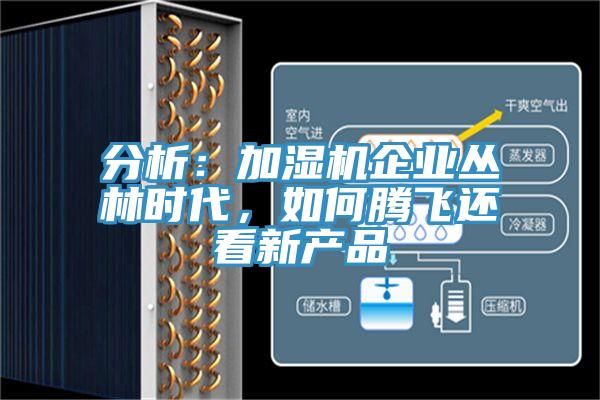 分析：加濕機企業(yè)叢林時代，如何騰飛還看新產(chǎn)品