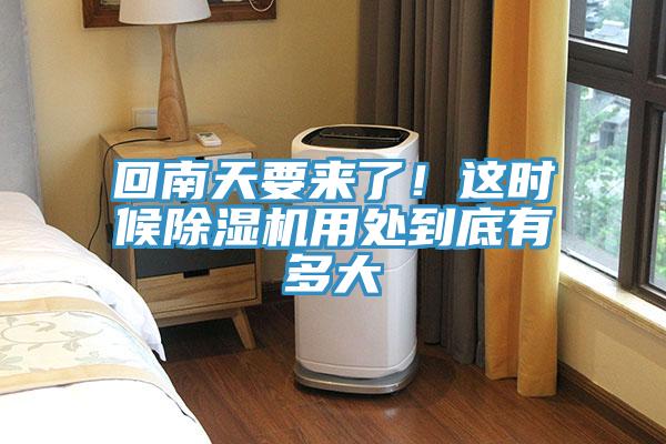 回南天要來了！這時候除濕機用處到底有多大