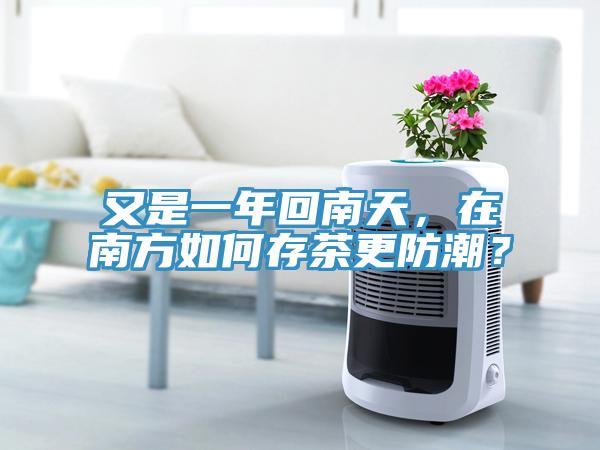 又是一年回南天，在南方如何存茶更防潮？