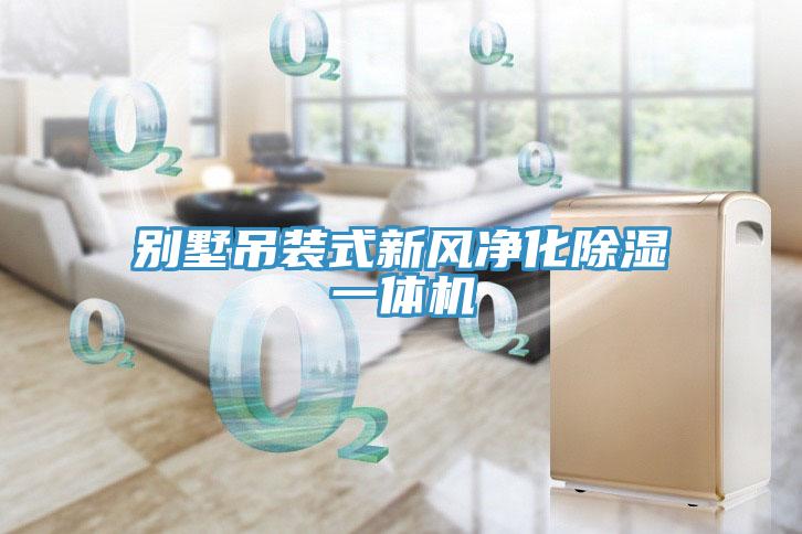 別墅吊裝式新風(fēng)凈化除濕一體機