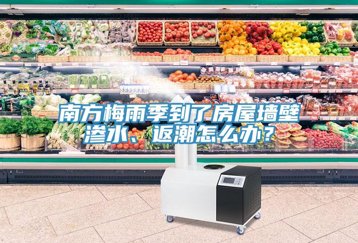 南方梅雨季到了房屋墻壁滲水、返潮怎么辦？