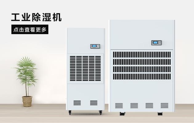回南天到處濕噠噠，還好我有這份室內(nèi)防潮攻略