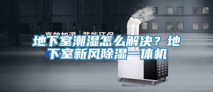 地下室潮濕怎么解決？地下室新風除濕一體機