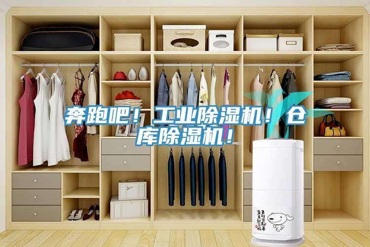 奔跑吧！工業(yè)除濕機！倉庫除濕機！