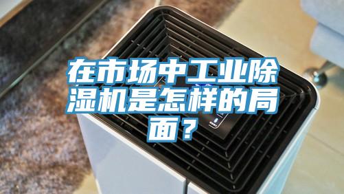 在市場中工業(yè)除濕機(jī)是怎樣的局面？