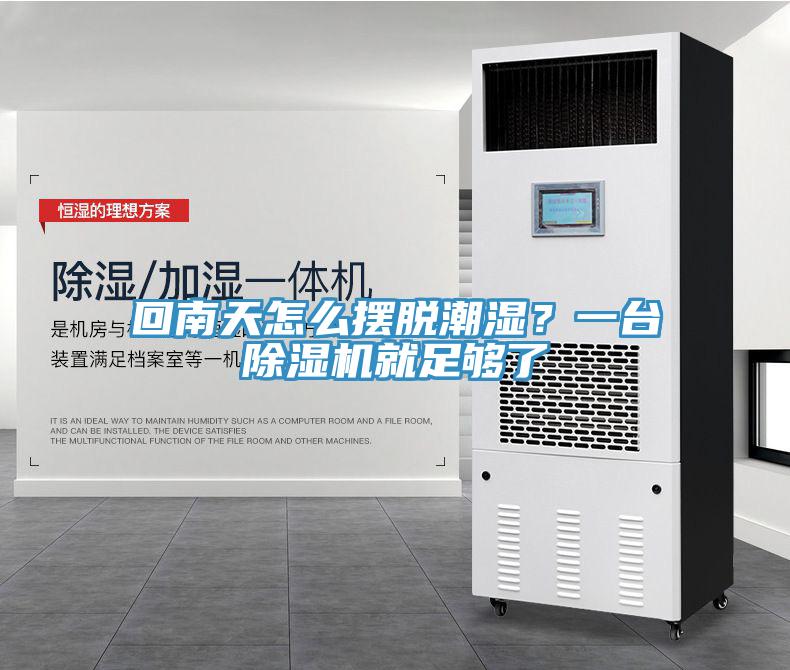 回南天怎么擺脫潮濕？一臺除濕機就足夠了