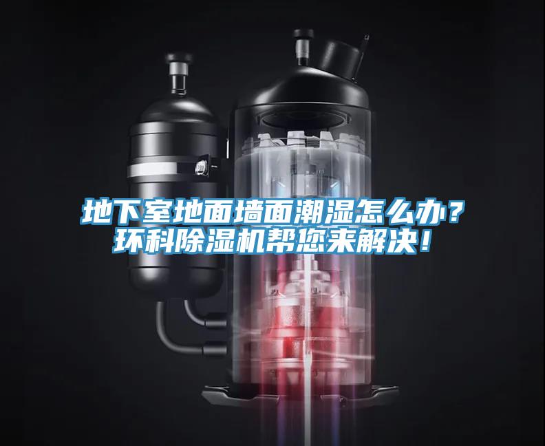 地下室地面墻面潮濕怎么辦？環(huán)科除濕機幫您來解決！