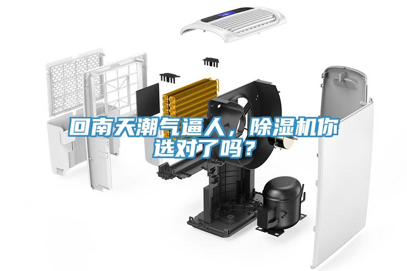 回南天潮氣逼人，除濕機你選對了嗎？