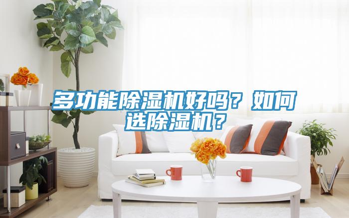 多功能除濕機(jī)好嗎？如何選除濕機(jī)？