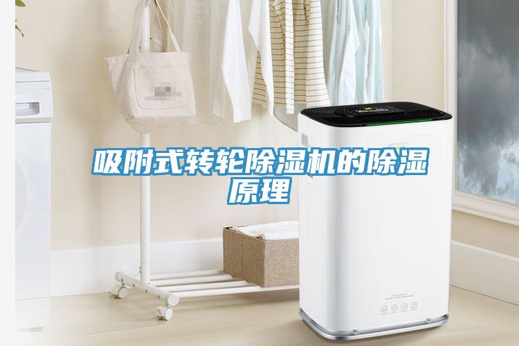 吸附式轉(zhuǎn)輪除濕機的除濕原理