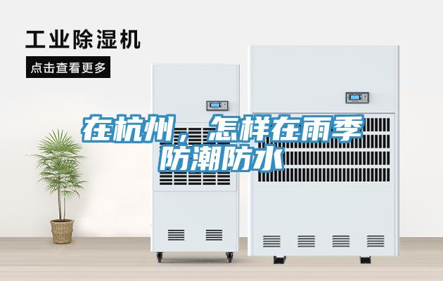 在杭州，怎樣在雨季防潮防水