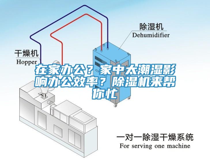 在家辦公？家中太潮濕影響辦公效率？除濕機(jī)來幫你忙