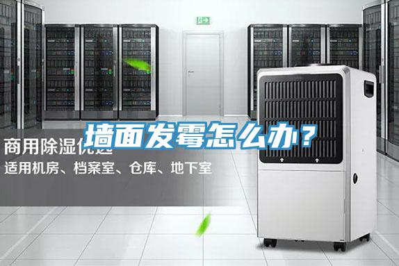 墻面發(fā)霉怎么辦？
