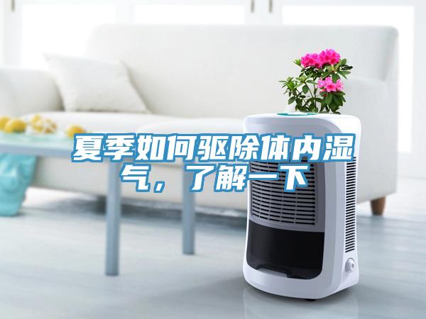 夏季如何驅除體內濕氣，了解一下