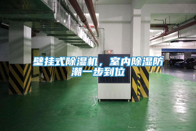 壁掛式除濕機，室內(nèi)除濕防潮一步到位