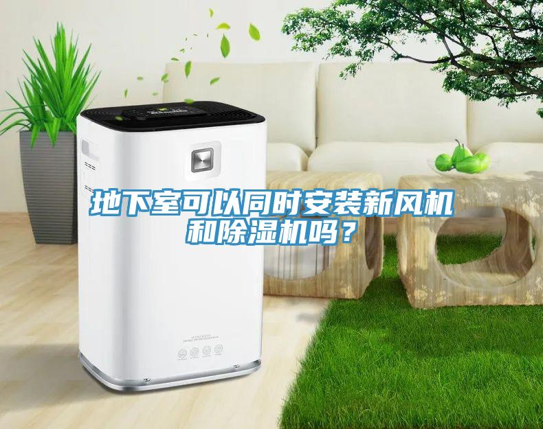 地下室可以同時安裝新風機和除濕機嗎？