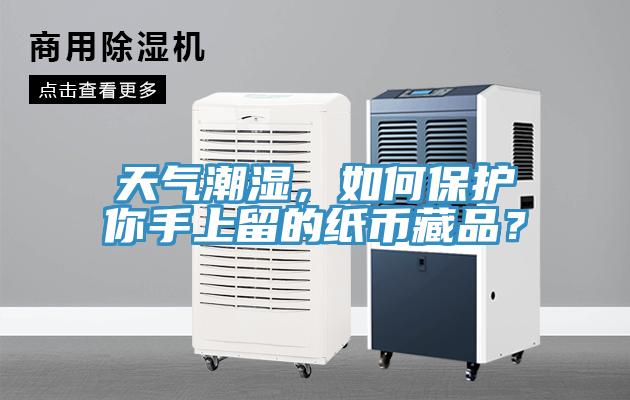天氣潮濕，如何保護你手上留的紙幣藏品？
