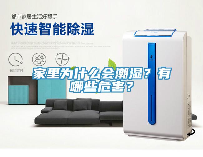 家里為什么會潮濕？有哪些危害？