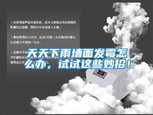 天天下雨墻面發(fā)霉怎么辦，試試這些妙招！