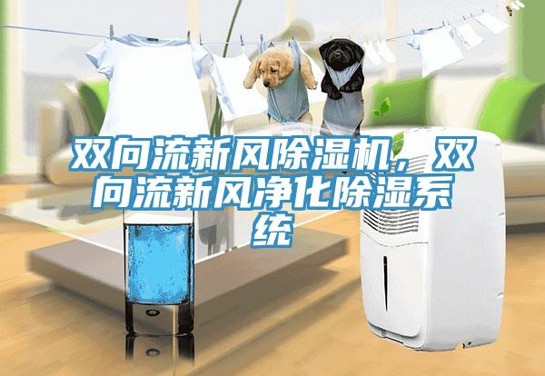 雙向流新風(fēng)除濕機(jī)，雙向流新風(fēng)凈化除濕系統(tǒng)